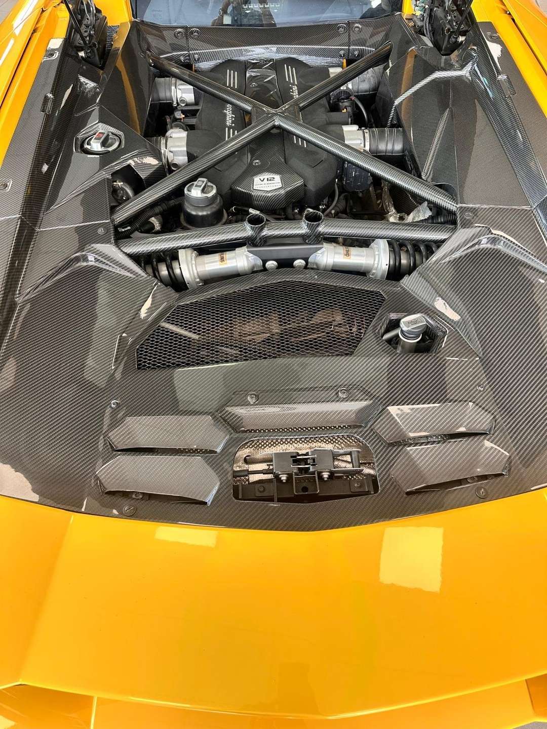 Lamborghini Aventador  Coupe 6.5 LP 700-4 “FULL CARBON SCARICO CAPRISTO”